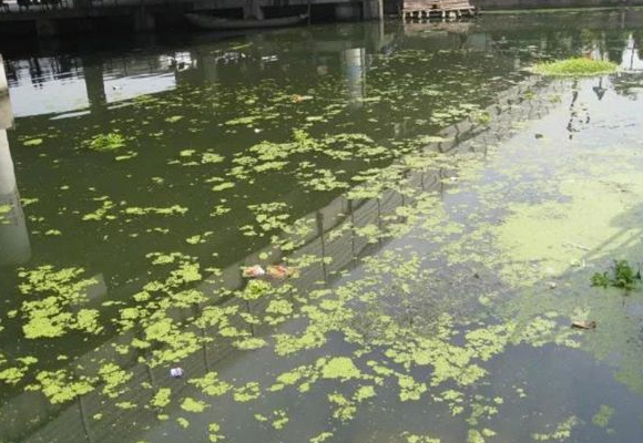 城市黑臭河道水體治理的方式方法有哪些